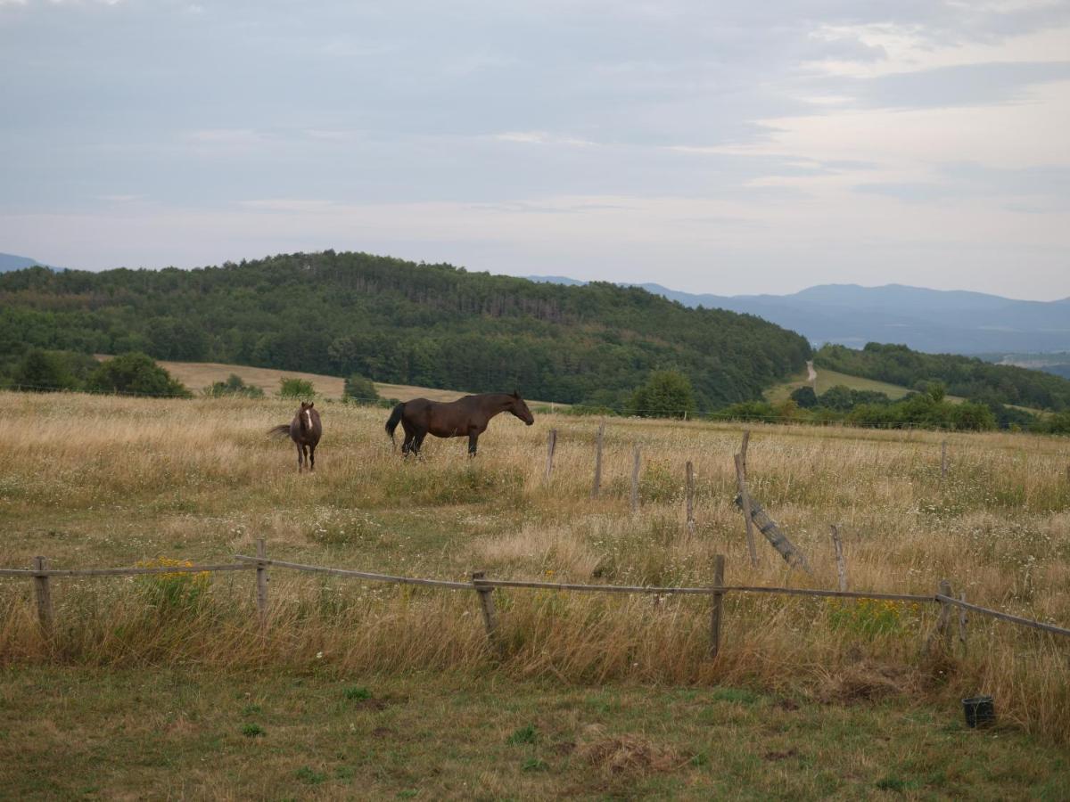 Hotel Selanka Off Road Hill View Moravske Lieskove Exterior foto